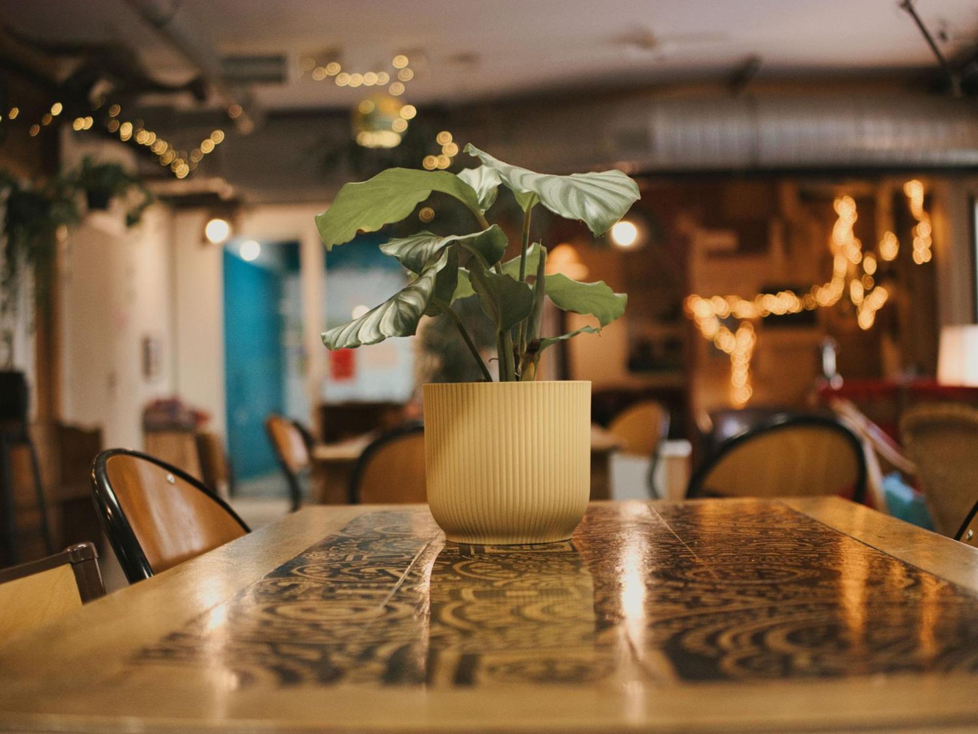 Le Flaneur Guesthouse ลียง ภายนอก รูปภาพ